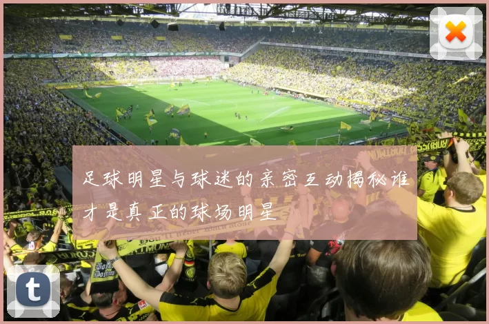 足球明星与球迷的亲密互动揭秘谁才是真正的球场明星