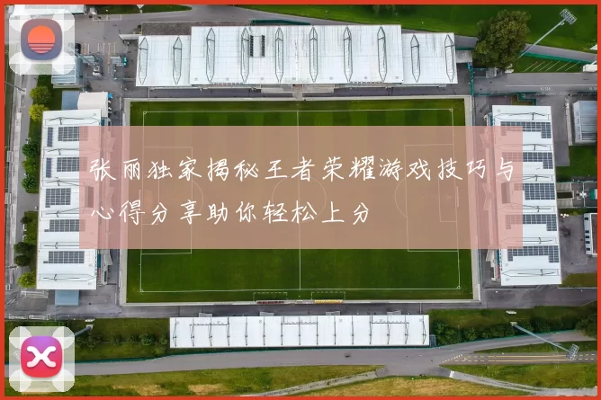 张丽独家揭秘王者荣耀游戏技巧与心得分享助你轻松上分