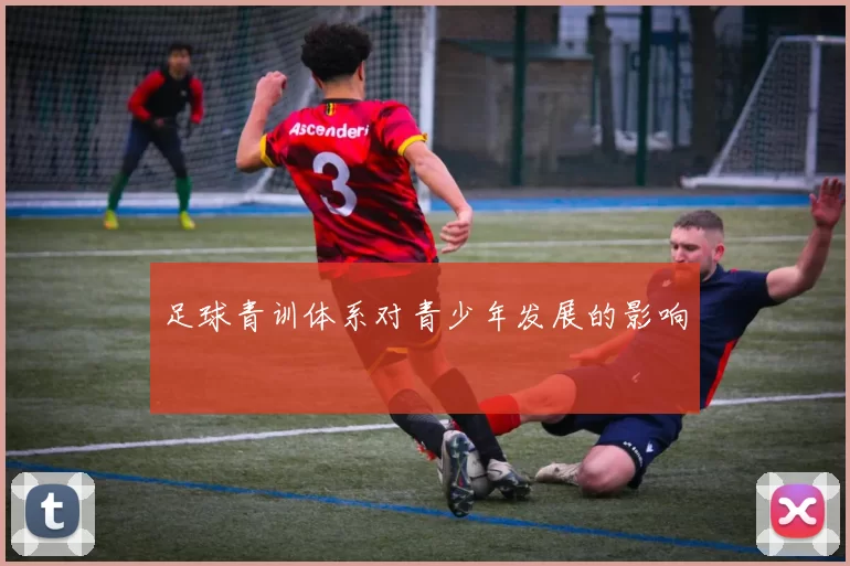 足球青训体系对青少年发展的影响