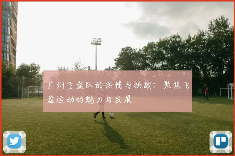 广州飞盘队的热情与挑战：聚焦飞盘运动的魅力与发展