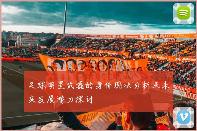 足球明星武磊的身价现状分析及未来发展潜力探讨