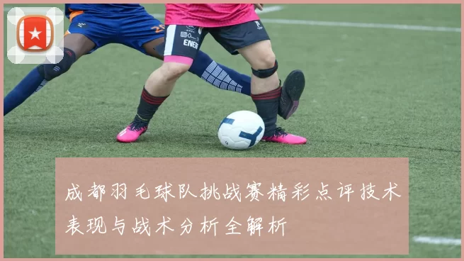 成都羽毛球队挑战赛精彩点评技术表现与战术分析全解析