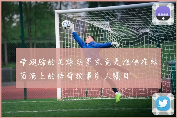 带翅膀的足球明星究竟是谁他在绿茵场上的传奇故事引人瞩目