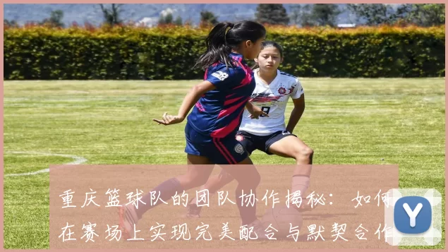 重庆篮球队的团队协作揭秘：如何在赛场上实现完美配合与默契合作