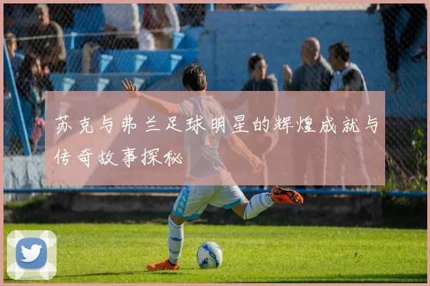 苏克与弗兰足球明星的辉煌成就与传奇故事探秘