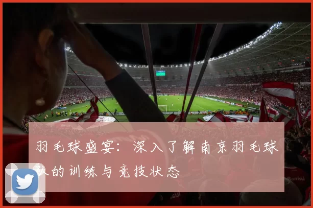 羽毛球盛宴：深入了解南京羽毛球队的训练与竞技状态