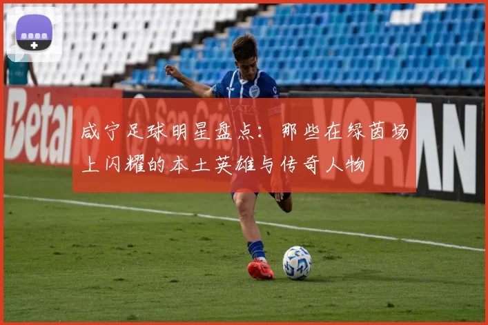咸宁足球明星盘点：那些在绿茵场上闪耀的本土英雄与传奇人物