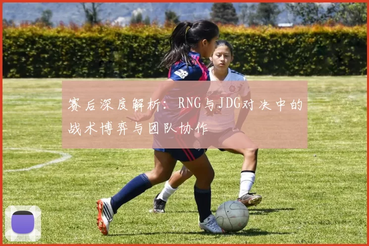 赛后深度解析：RNG与JDG对决中的战术博弈与团队协作