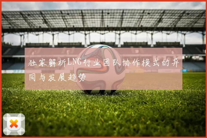 独家解析LNG行业团队协作模式的异同与发展趋势