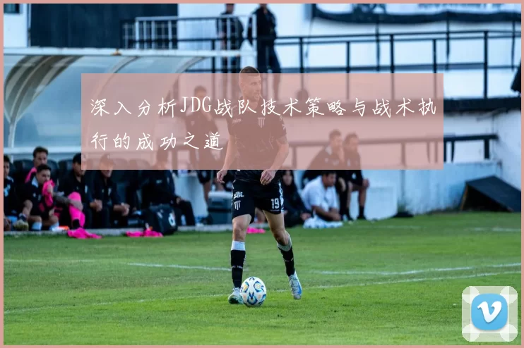 深入分析JDG战队技术策略与战术执行的成功之道