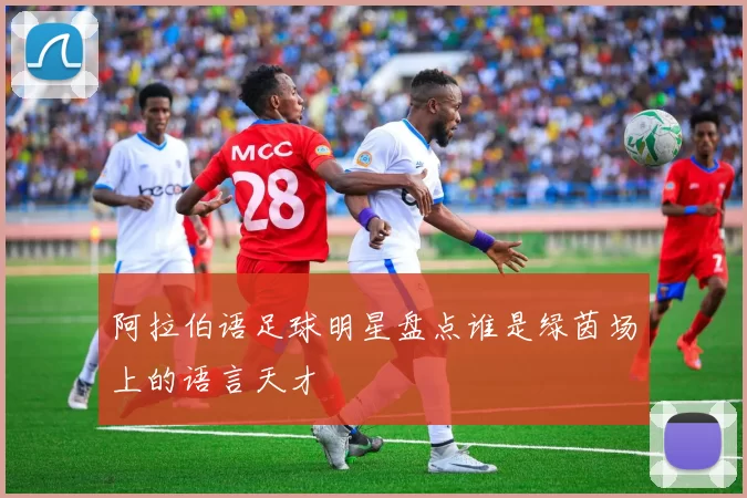 阿拉伯语足球明星盘点谁是绿茵场上的语言天才