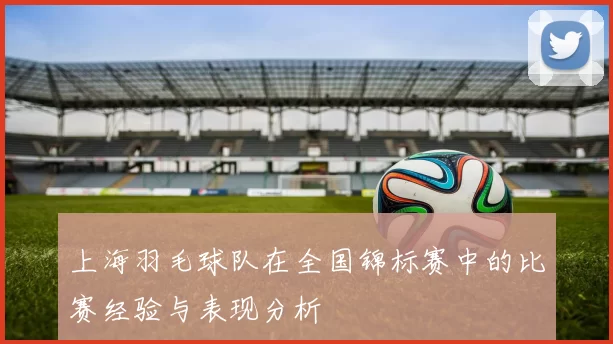 上海羽毛球队在全国锦标赛中的比赛经验与表现分析