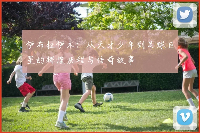 伊布拉伊木：从天才少年到足球巨星的辉煌历程与传奇故事