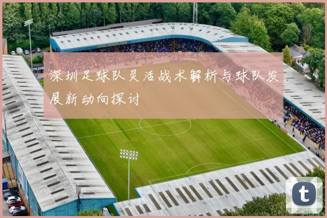深圳足球队灵活战术解析与球队发展新动向探讨