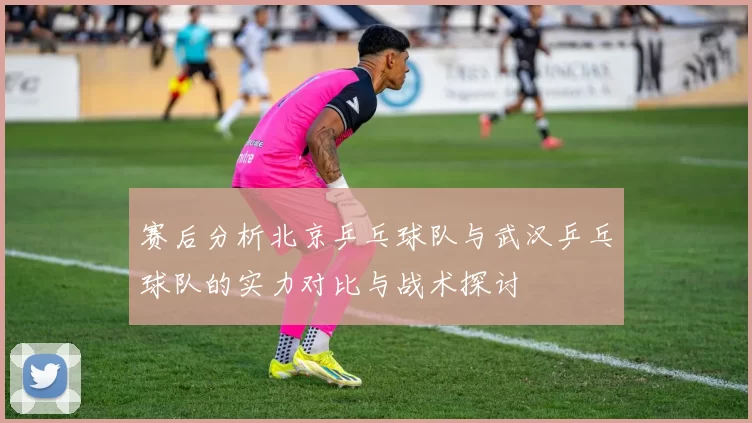 赛后分析北京乒乓球队与武汉乒乓球队的实力对比与战术探讨