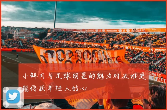 小鲜肉与足球明星的魅力对决谁更能俘获年轻人的心