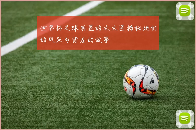 世界杯足球明星的太太团揭秘她们的风采与背后的故事
