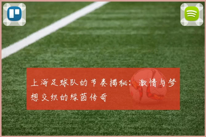上海足球队的节奏揭秘：激情与梦想交织的绿茵传奇