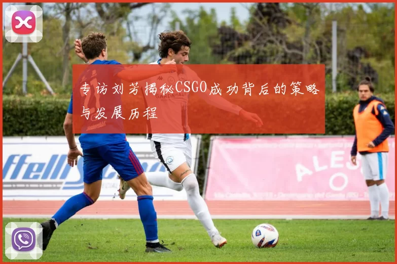 专访刘芳揭秘CSGO成功背后的策略与发展历程